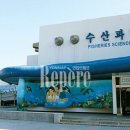 등대수산 이미지