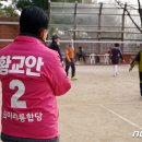 와룡공원(배드민턴장) 뉴스1