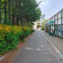 건양대네거리 이미지