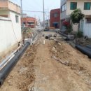 양월6리 이미지