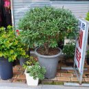 대흥크리닝 이미지