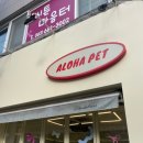 알로하펫 이미지