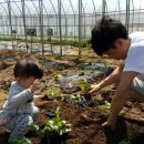 한희농장 이미지