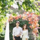 예스튜디오 이미지