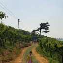 아름1농장 이미지