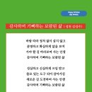 감사하며 기뻐하는 보람된 삶 (성천 김성수시인) 생일축하시 기쁜 소식 좋은 일을 축하하며 함께하며 내어주는 생명의 삶 이미지