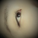 건대 속눈썹 / 건대속눈썹연장 - 라비앤래쉬에서 성공적으로 시술 받은 후기 ;)