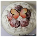 오-케이크(O-CAKE)