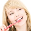 수플란트 이미지