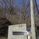 숲속의평창 | [평차 캠핑장] 평창 휘게포레스트 2박 3일: 숲속의 럭셔리, B6 사이트 명당 후기 및 시설 총정리