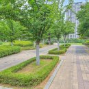 일산은행초등학교 이미지