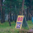 강릉송이직판장
