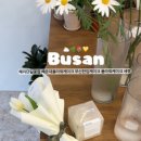 플라워케이크세렝 이미지