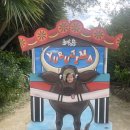 뿔들의 섬 | 일본여행 이시가키 이리오모테 투어 아이랑 유부섬 물소 맹그로브