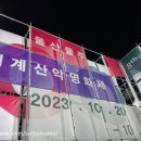 제8회 울산울주산악영화제(2023년)(feat.태화강핑크뮬리)