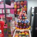 쉬크레마카롱전문점 이미지