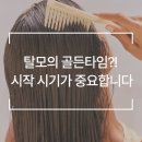 웰킨 청량리점