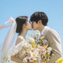 플러스웨딩결혼정보 이미지