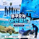 돌고래식당 | 후쿠오카 마린월드 아이와 가볼만한곳 돌고래쇼 &amp; 마린월드 내 식당 후기