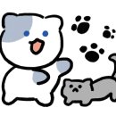 바람흔적글램핑카라반 이미지