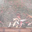 인삼랜드휴게소 이미지