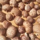 펠릭스짐 이미지