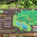 달홀숲 네이버블로그