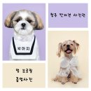 진천사진관 이미지