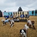 아이큰별유치원 이미지