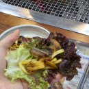 진식육식당 | 서오릉 내돈내산 장어맛집 여기 정착! 두툼함 미쳤고 비린내 1도 없음