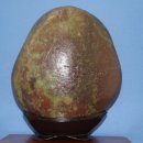 봄의향연 이미지