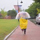 안녕 경주야 이미지