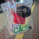 캑티가챠샵 이미지