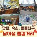 가을 단풍 속 남이섬 즐길거리: 공작 관람, 맛집, 숙소 정관루, 미술관 전시, 기념품까지 알차게 둘러보기