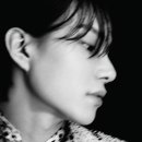 비컷