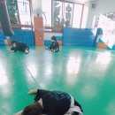 대구학남초교 병설유치원 이미지