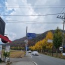 쩡이의먹거리마을 네이버블로그