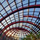 나비부화장 이미지