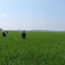 포전2농장 이미지