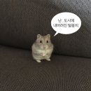 냠냠