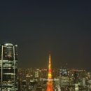 더제이드 | 더 도쿄 에디션 토라노몬 호텔 제이드룸 - 5 코스 런치 후기