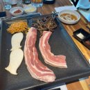 태평한돼지 이미지
