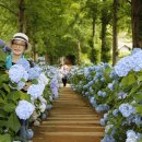 수국펜션 이미지