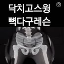 DS골프 아카데미 이미지