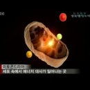 비타민열쇠