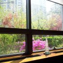 카페갤러리아 이미지