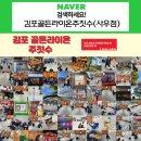 김포골든라이온주짓수사우점