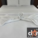 풀빌라M 이미지