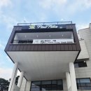 피노펠리즈 이미지