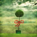 모모의 시간 이미지